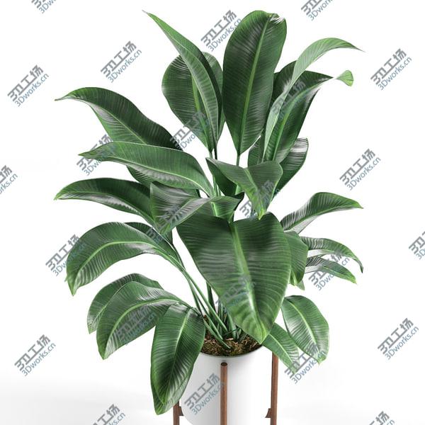 images/goods_img/20210312/3D Plant/2.jpg